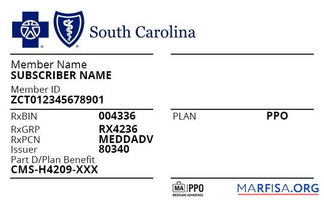 Blank USA South Carolina health insurance card example